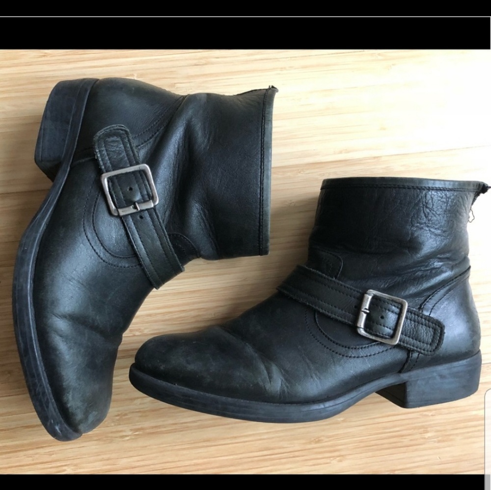Steve madden moto boots